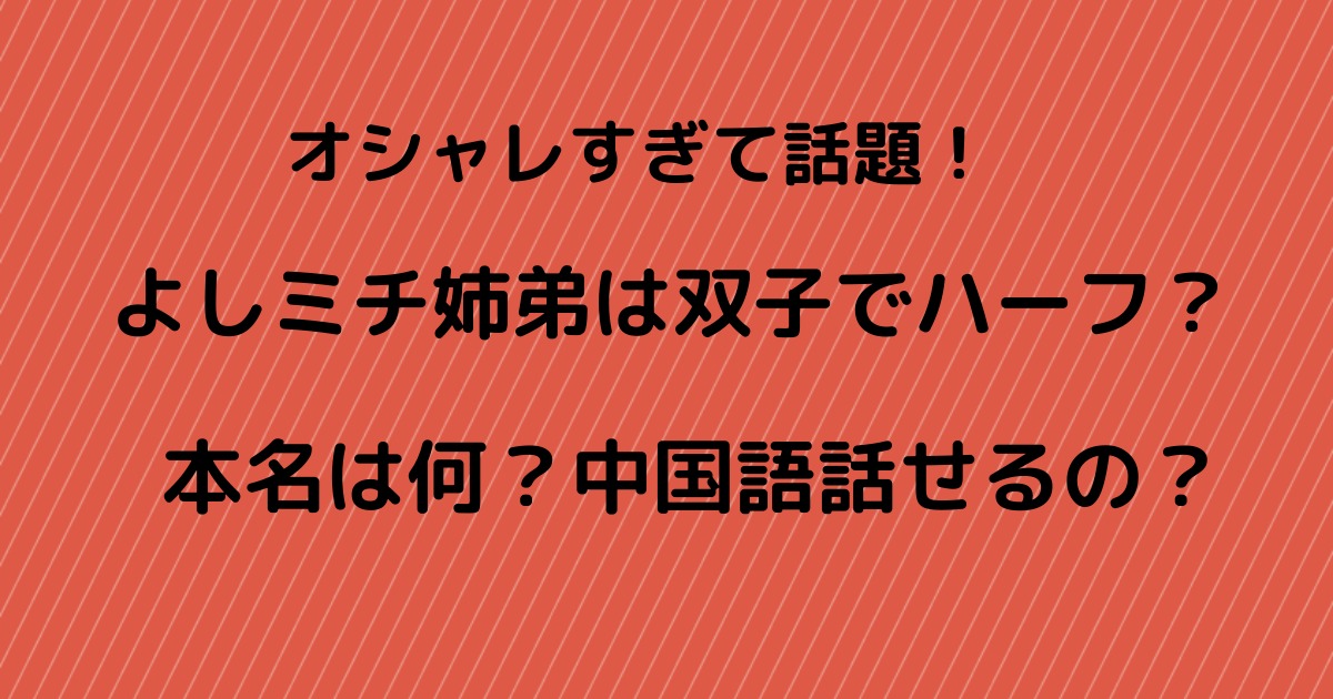 よしミチ姉弟は双子でハーフ 本名や中国語話せるのかについて調査 りっちゃんブログ