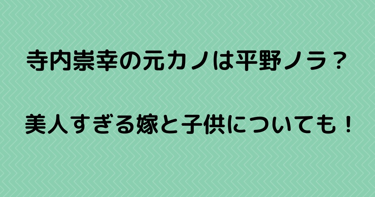 寺内崇幸の元カノは平野ノラって本当 美人すぎる嫁と子供についても りっちゃんブログ