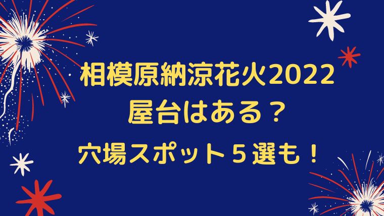 国内最安値に挑戦 相模原納涼花火大会 入場チケット Metastar In